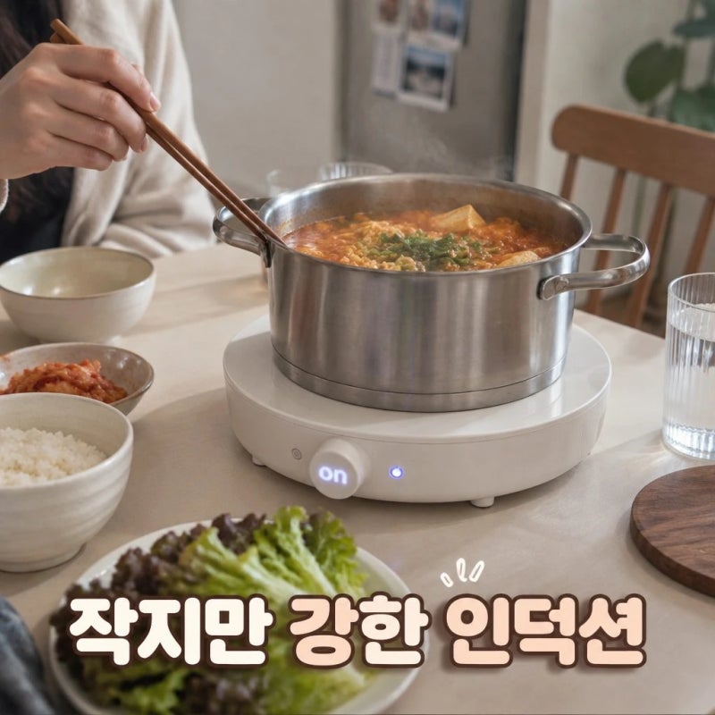 단미 1구 인덕션 미니 휴대용 전기레인지 원형 캠핑 인덕션렌지 IN03 솔직 특징 정리