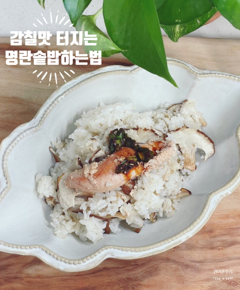 명란솥밥 만드는 법, 버터 명란과 생표고버섯 곁들인 냄비밥 레시피