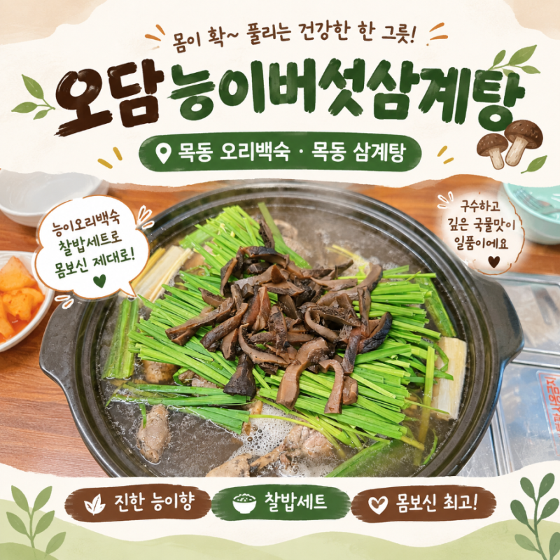 목동 오리백숙 목동 능이버섯 삼계탕 맛집 오담능이버섯백숙삼계탕