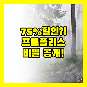 블랙모어스 프로폴리스 플라보노이드 34mg, 75% 할인의 비밀