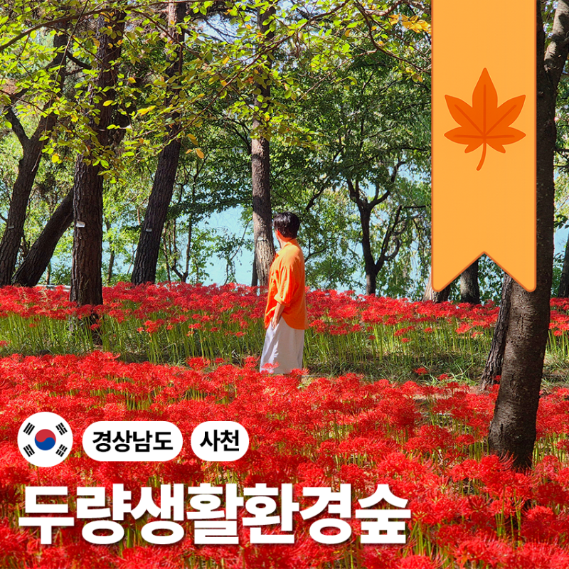 "갑자기 분위기 귀칼" 9월 꽃무릇 사천 두량저수지 가을꽃구경 경남 가을여행 가볼만한곳