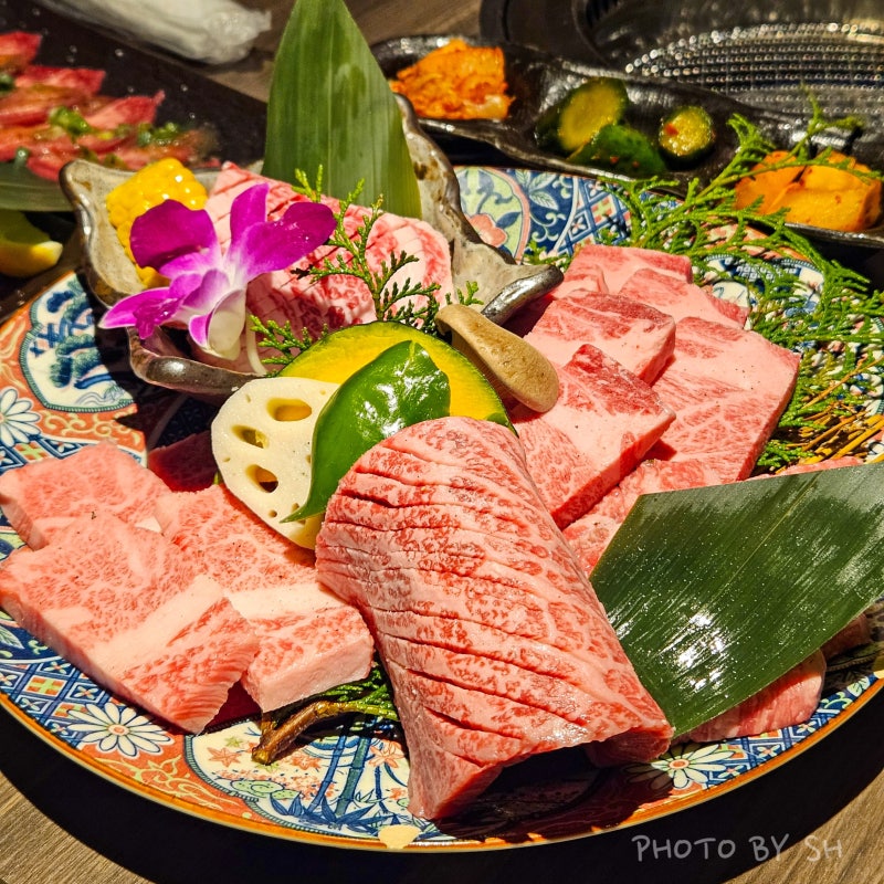 오사카 야키니쿠 맛집 초밥 무한리필 도톤보리 난바 하나미치