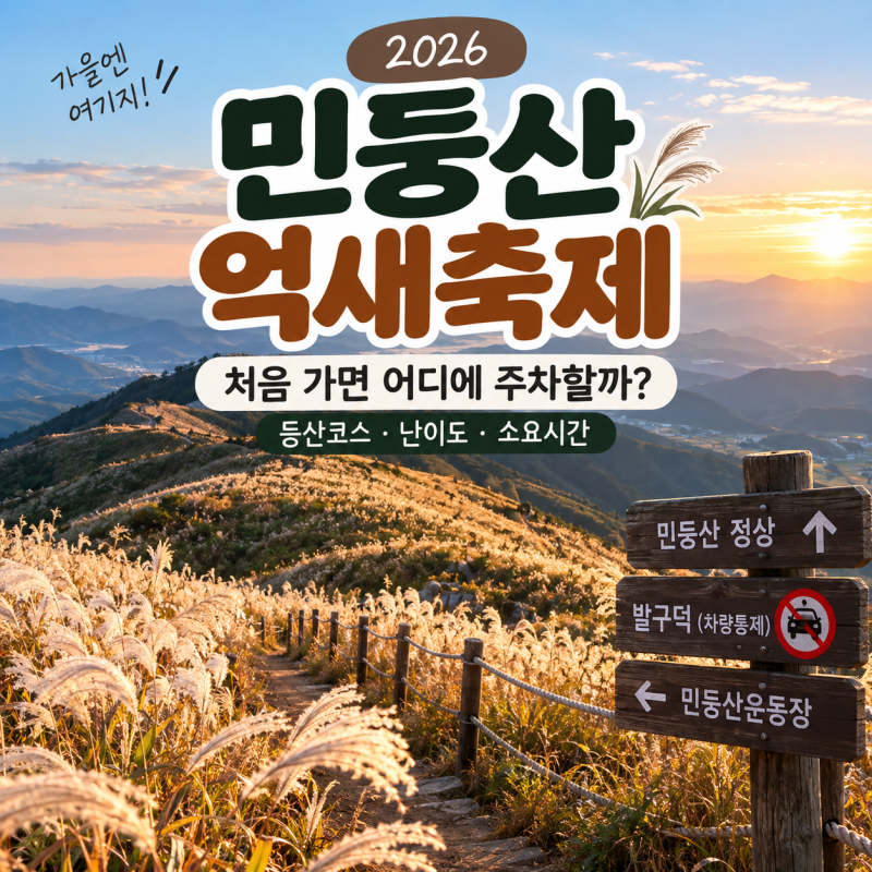 2026 민둥산 억새축제, 처음 가면 어디에 주차할까?｜등산코스·난이도·소요시간