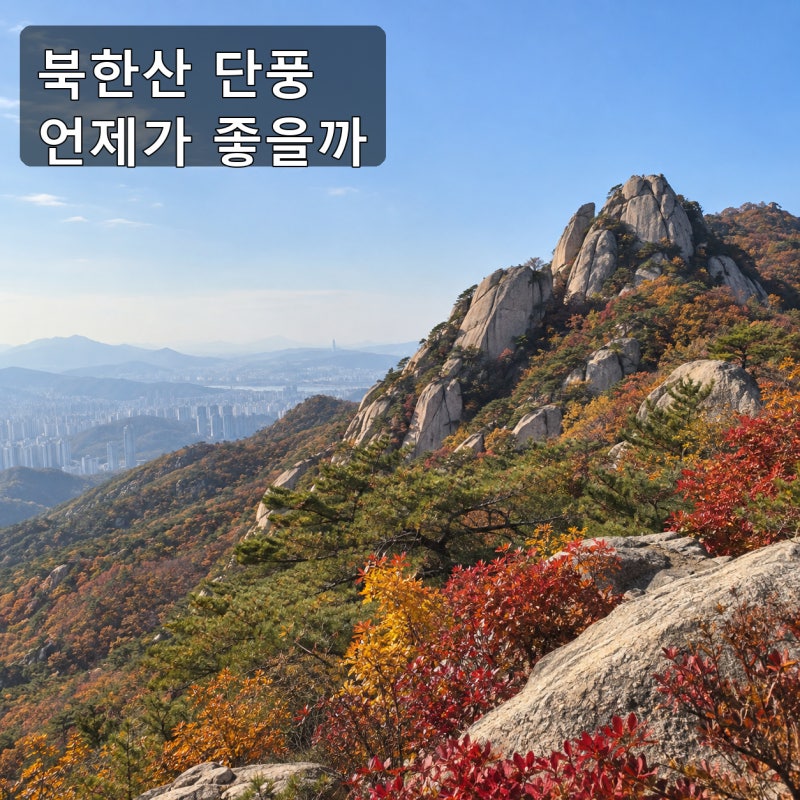북한산 단풍 절정 시기 2026 서울에서 언제 가야 할까