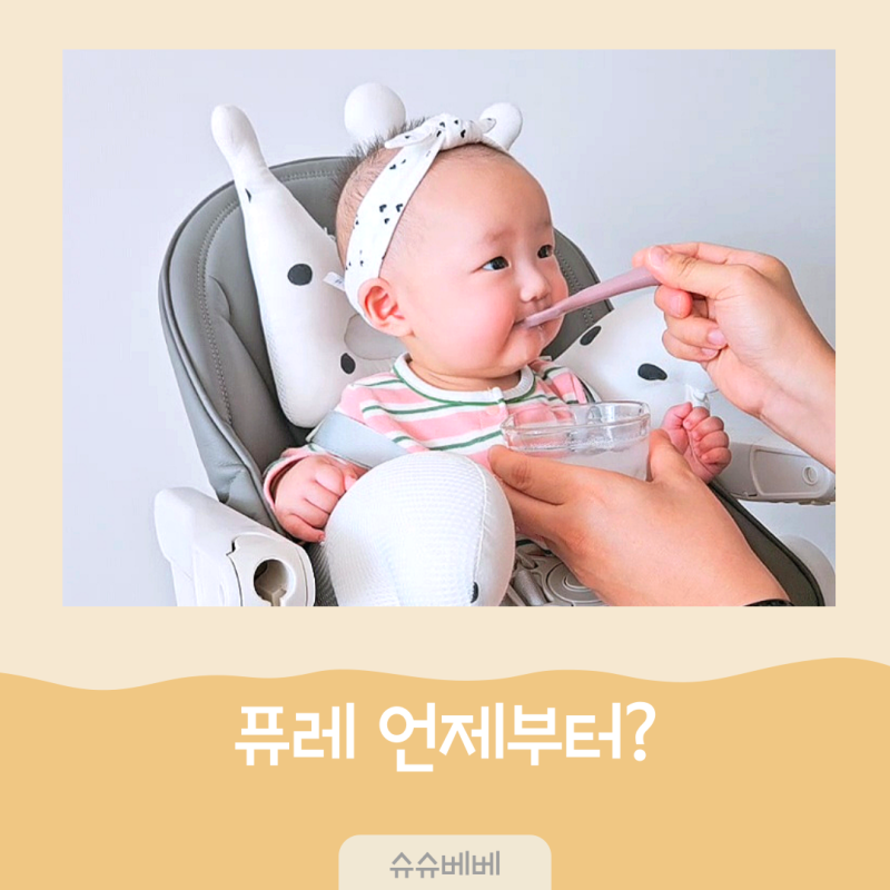 6개월 아기 사과 바나나 고구마 퓨레 언제부터?