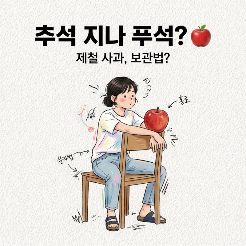 추석 지나면 푸석해짐 홍로사과 보관법 보관 기간 제철 부사 차이 특징 칼로리
