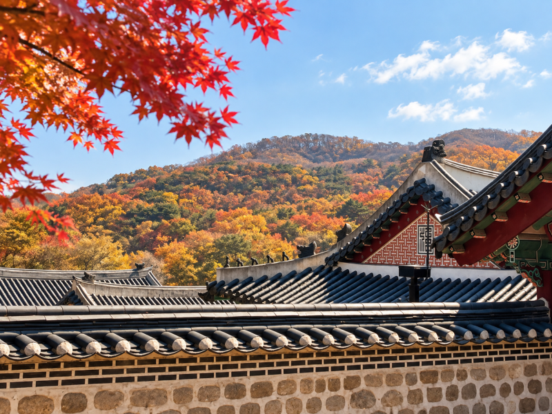2026 단풍 시기 언제? 경기도 단풍 명소 BEST 5｜서울 근교 가을 나들이 추천