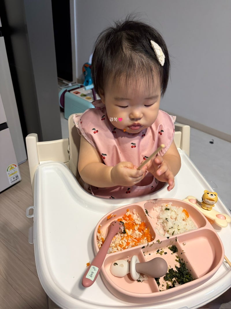 후기 이유식 기록, 11개월 아기 식단 (11) 돌 전 마지막 주 식사 기록