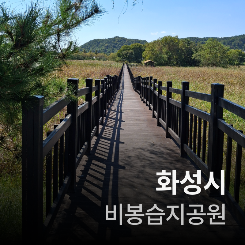 화성여행(비봉습지공원)