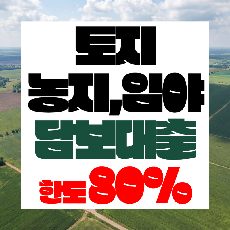 (땅)2금융 토지담보대출 DSR 해결하고 한도, 금리 만족 사례 (농지, 임야) 포함