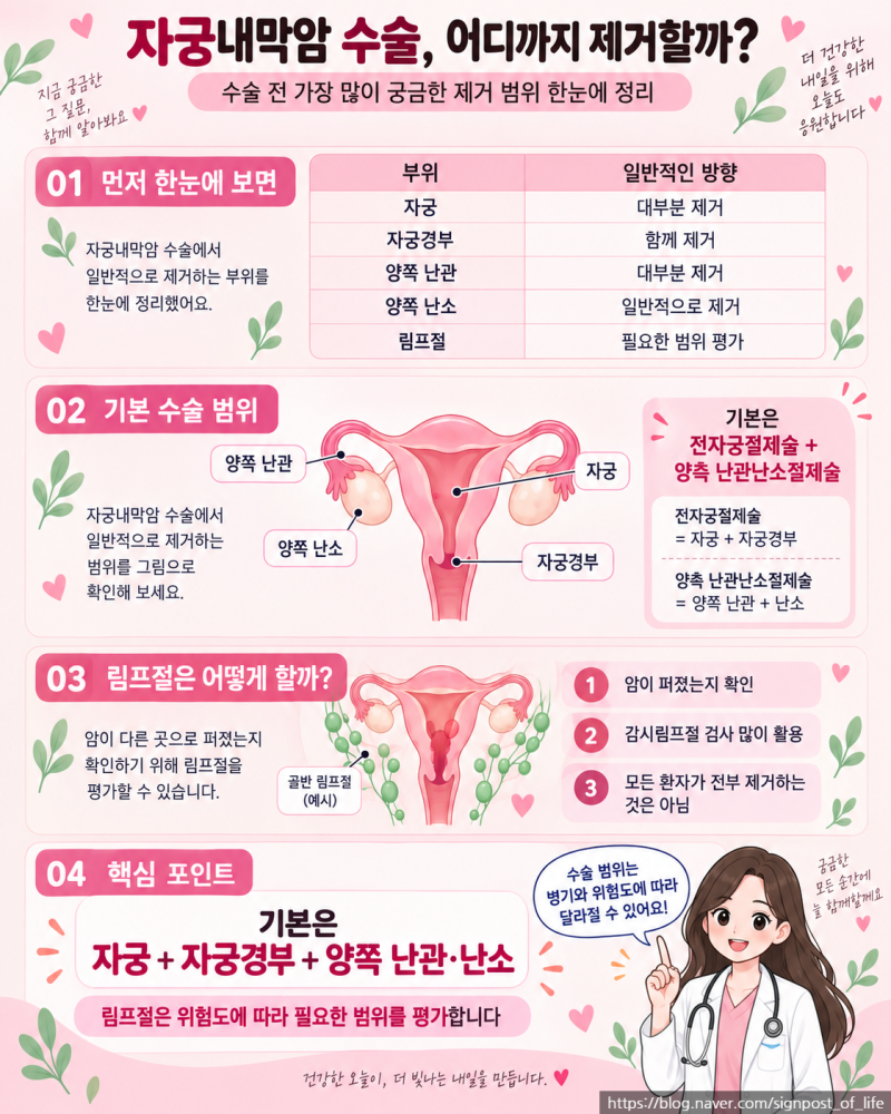 자궁내막암 수술 자궁·난소·림프절 어디까지 제거할까?