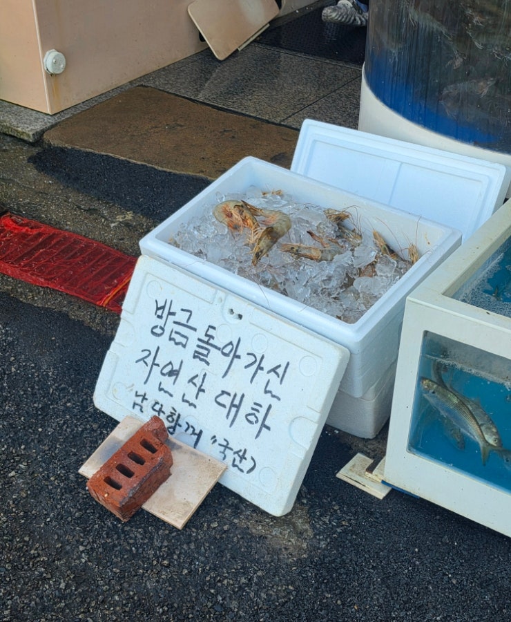 충남 홍성 | 대하도 먹고 예쁜 바다도 보러 가족끼리 가기 좋은 "홍성남당항 대하축제" / 축제....