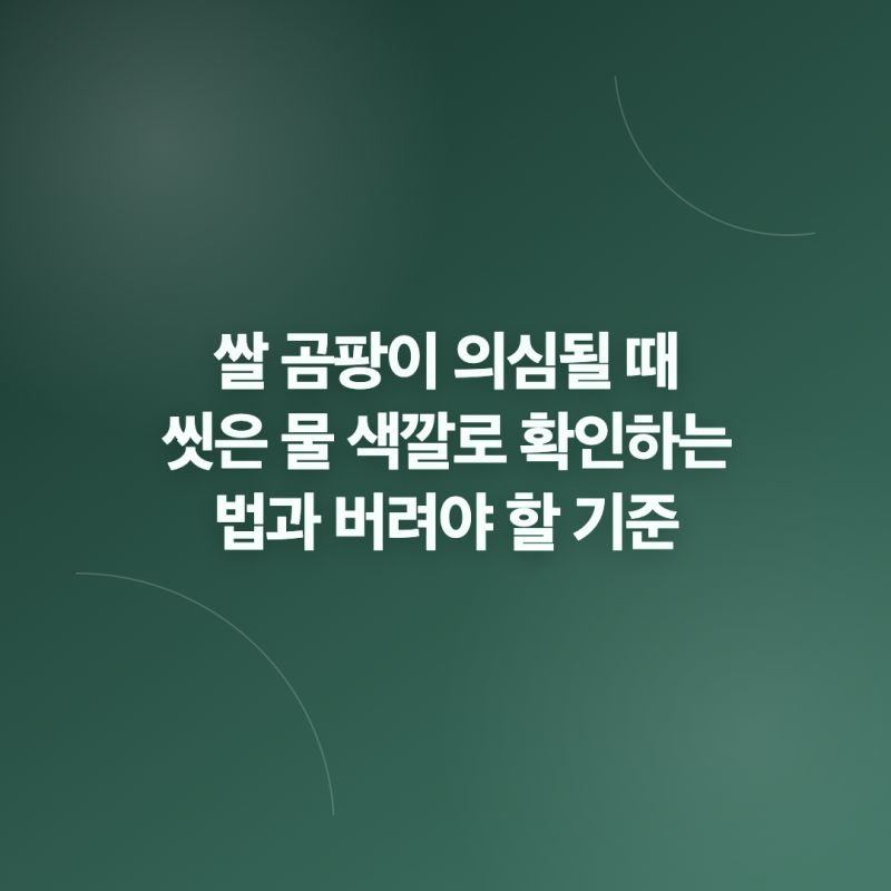 쌀 곰팡이 의심될 때 씻은 물 색깔로 확인하는 법과 버려야 할 기준