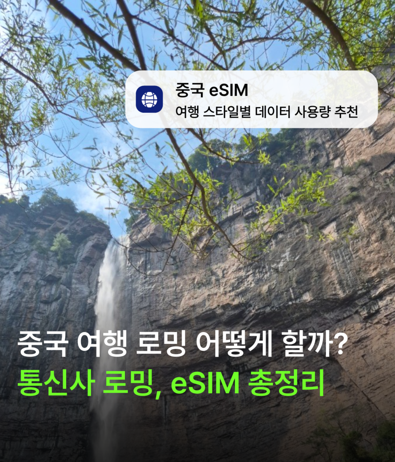 4박 5일 중국 여행 로밍 어떻게 해가는 게 좋을까?｜로밍·현지 유심·유심사 eSIM 가격 비교