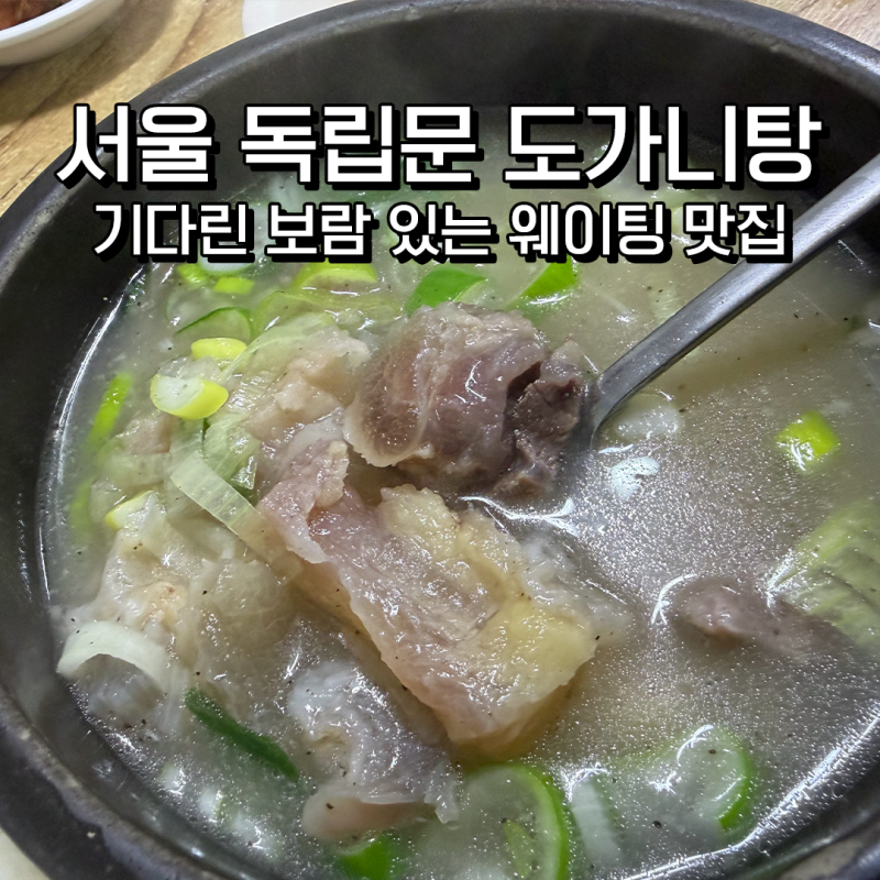 서울 도가니탕 맛집 대성집｜인생 도가니탕 집, 웨이팅 맛집