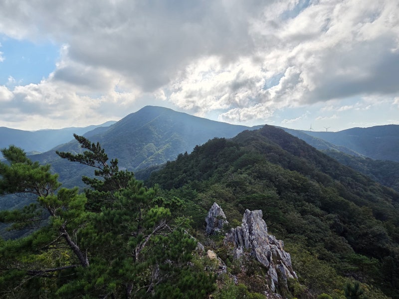 【제왕산+대관령 옛길】 대관령에서 제왕산을 거쳐 옛길을 따라 걷다