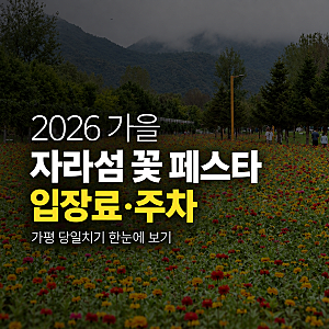 2026 자라섬 꽃 페스타 입장료·주차·당일치기 코스