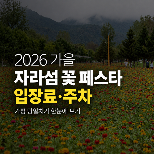 2026 자라섬 꽃 페스타 입장료·주차·당일치기 코스