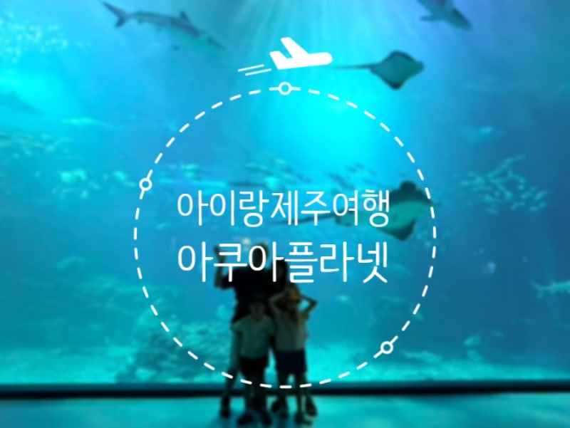 [국내여행] 아쿠아플라넷 제주, 특별한 공연과 바다생물을 볼 수 있는 실내 여행지!