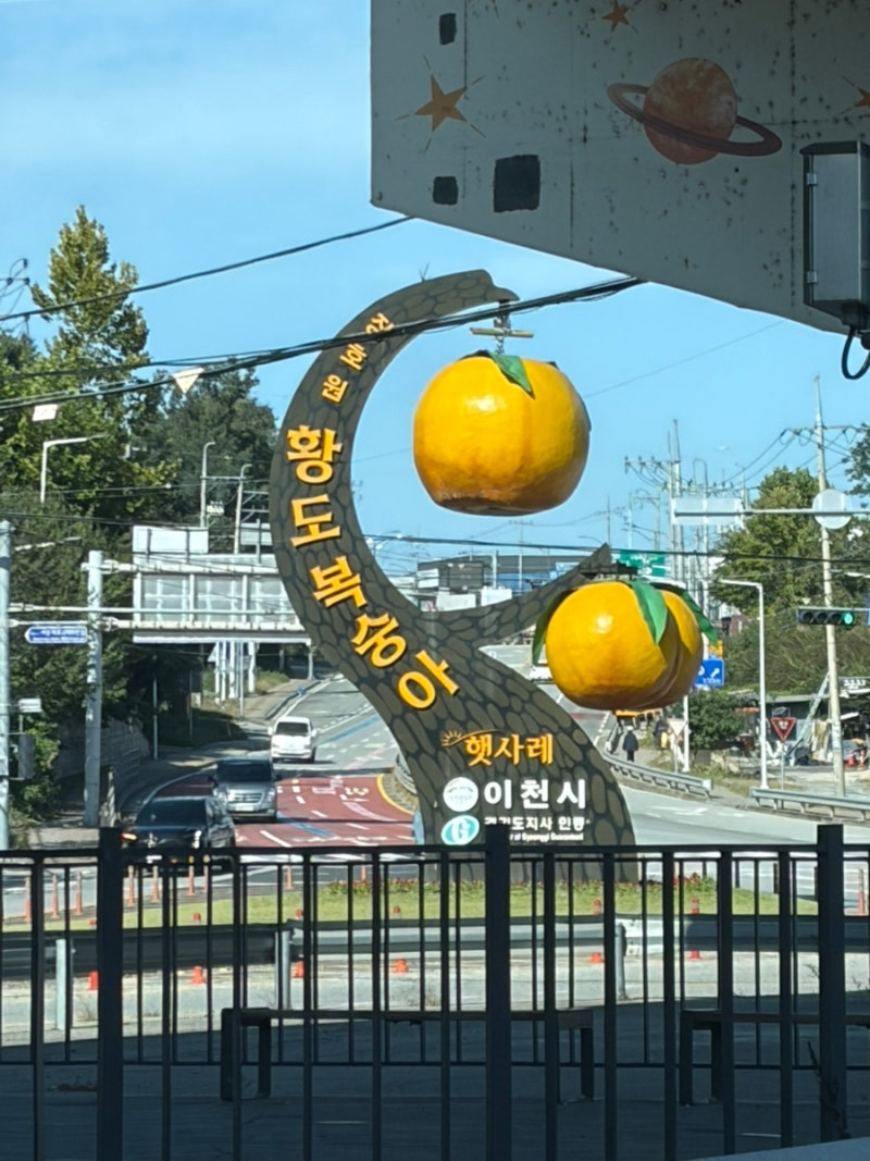 햇사레 장호원 복숭아 축제 후기 라고 하기에는 감곡 복숭아를 샀다 ㅎ | 축제, 과일, 후기, ....