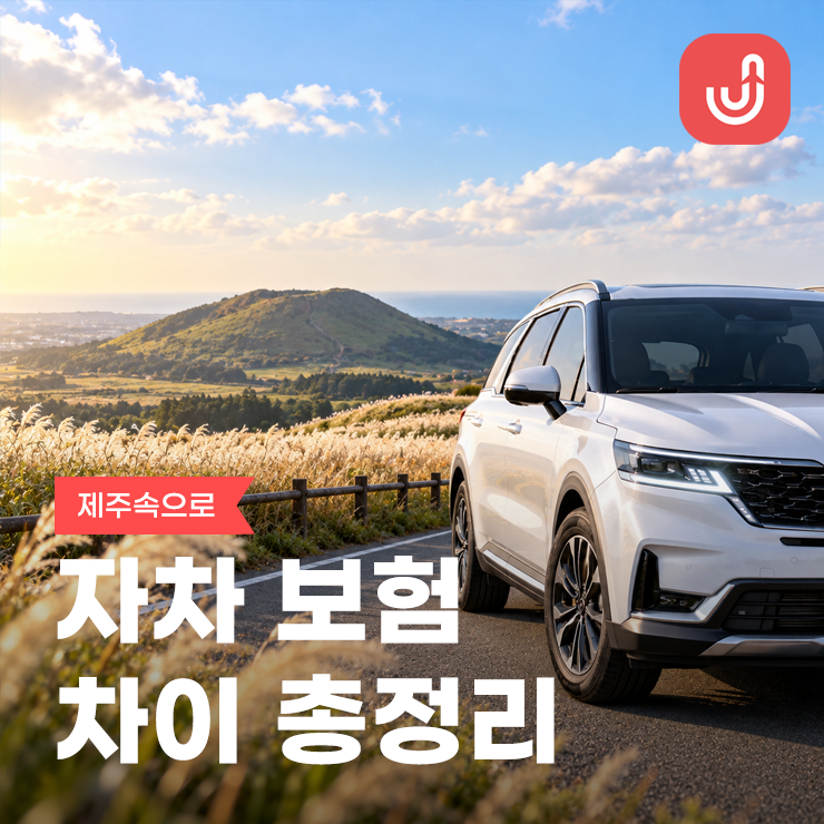 제주도 렌트카 제주속으로 자차 보험 차이점 비교 총정리