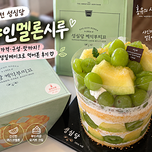 성심당 샤인멜론시루 후기 | 가격·구성 생일케이크로 먹어본 시루케이크