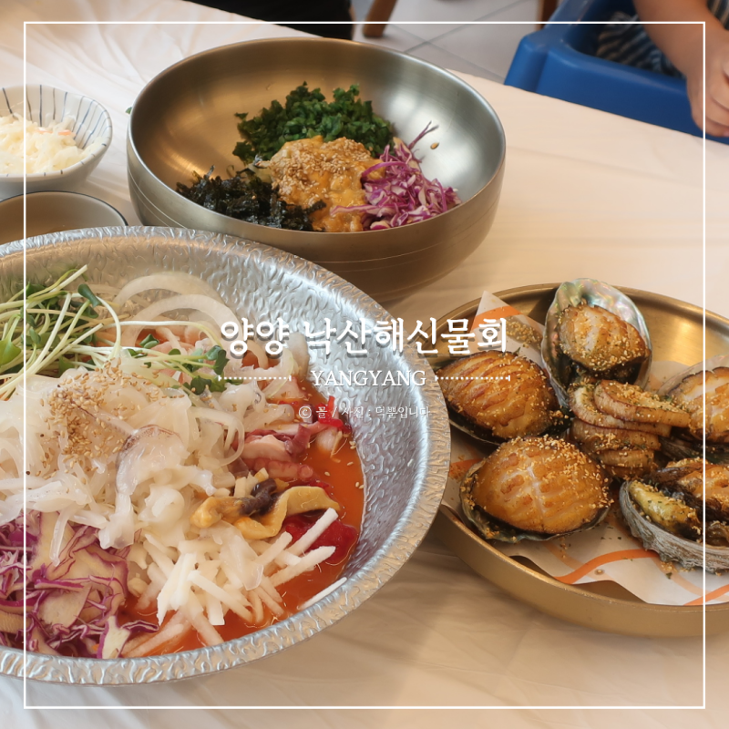 양양 낙산해수욕장 맛집 오징어 회포장 되는 낙산해신물회