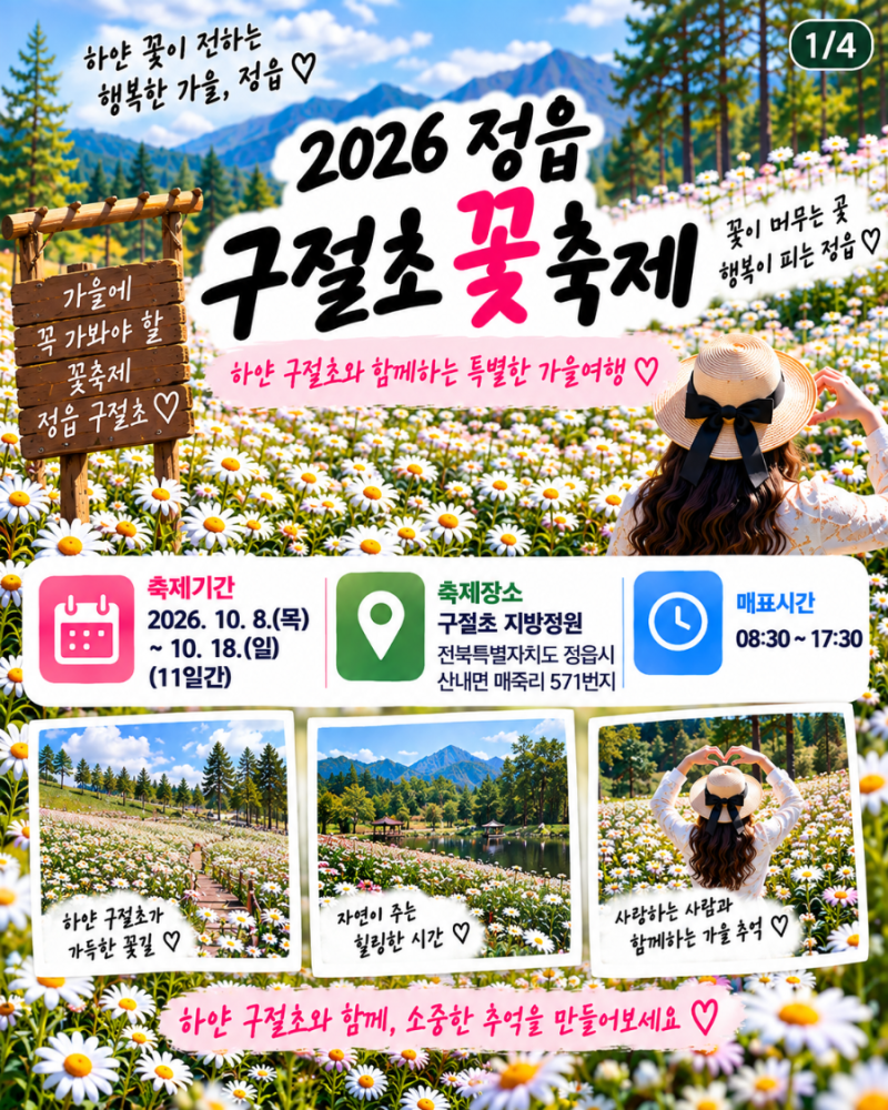 2026 정읍 구절초 꽃축제 총정리｜기간·입장료·주차·순환버스