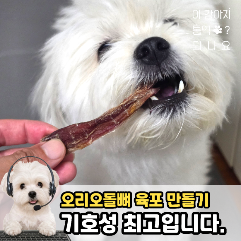 강아지 오리오돌뼈 건조 수제간식 만드는 법, 기호성 따봉!