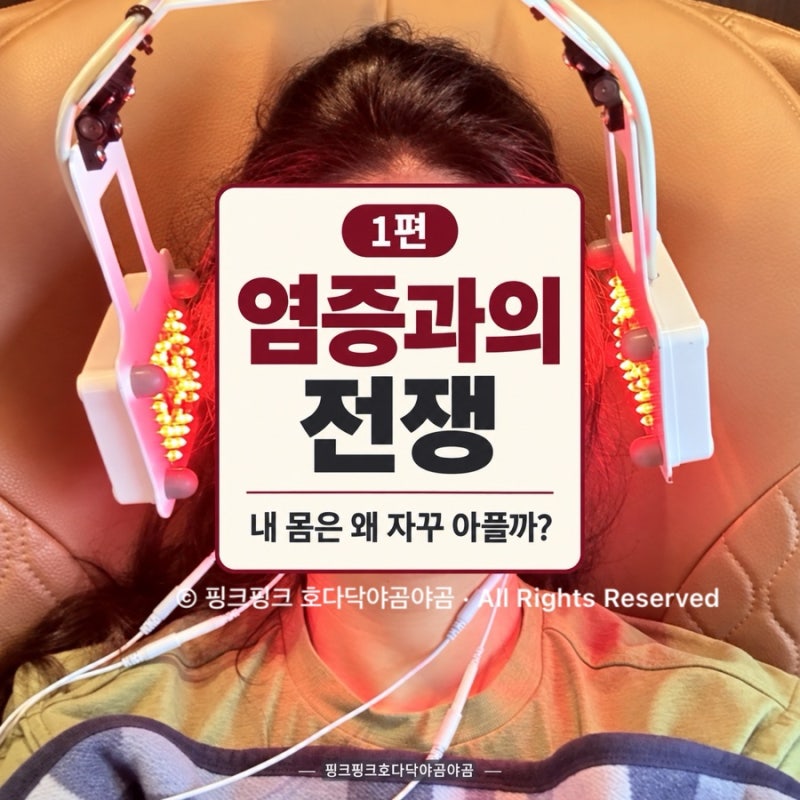 염증과의 전쟁 1｜치아·턱관절·팔꿈치·손목, 왜 내 몸은 자꾸 아플까?