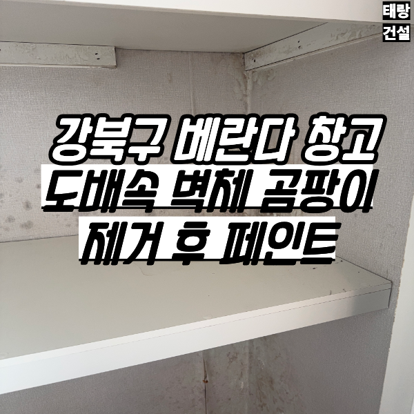 강북구 빌라 베란다 창고 곰팡이 제거 도배지 철거 후 페인트 재시공