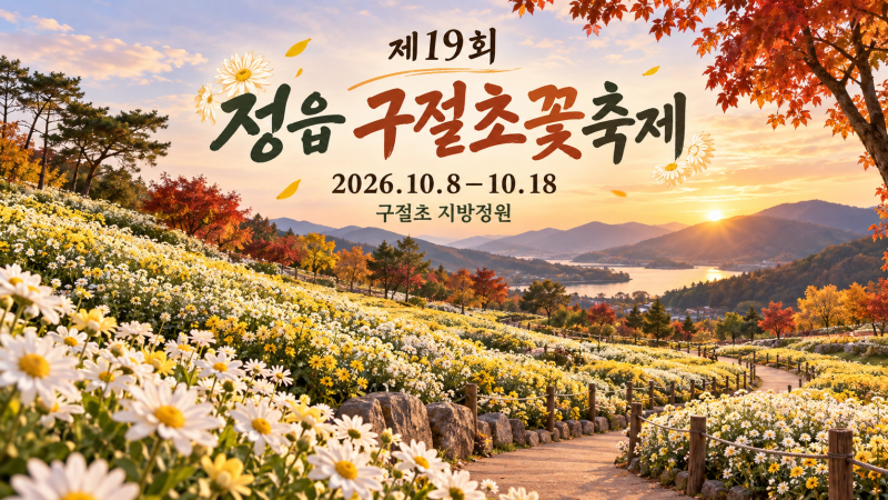 정읍 구절초꽃축제 10월 8~18일, 입장료·공연·버스 안내
