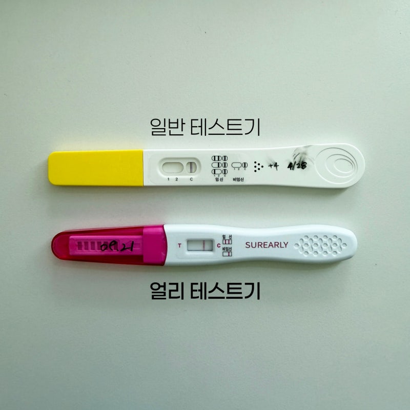 가임기 증상부터 임신 확인까지, 슈얼리 임테기 사용시기는?