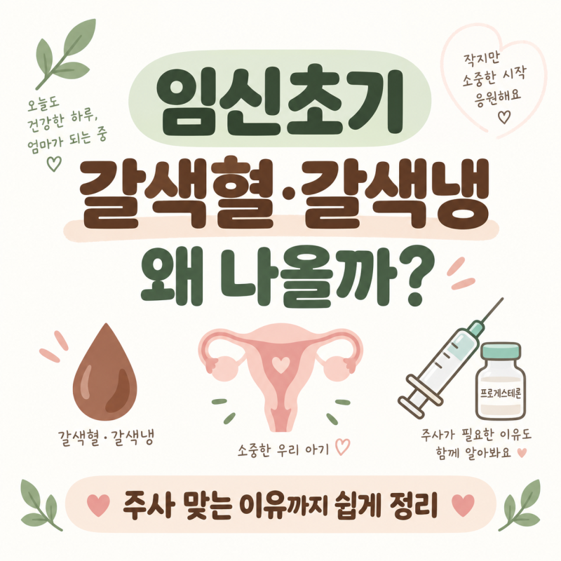 임신초기 갈색혈·갈색냉·찌꺼기 왜 나올까? Feat.유산방지주사