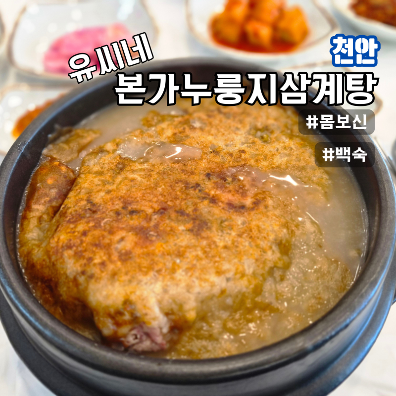 천안삼계탕 추천 유씨네본가누룽지삼계탕 구룡동 점심 맛집 몸보신 제대로 하고 왔어요