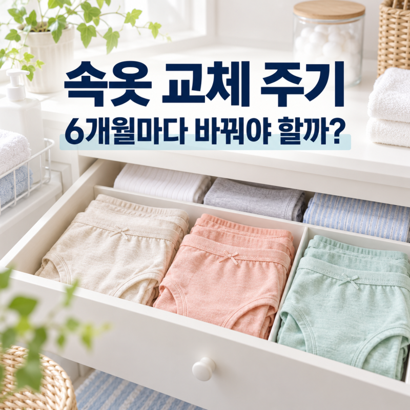 속옷 교체 주기, 정말 6개월일까?세탁법과 교체 신호 5가지