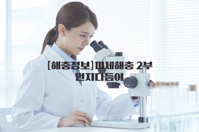 해충정보-미세해충[2부]먼지다듬이, 집 안에 1mm 먼지들이 움직인다?