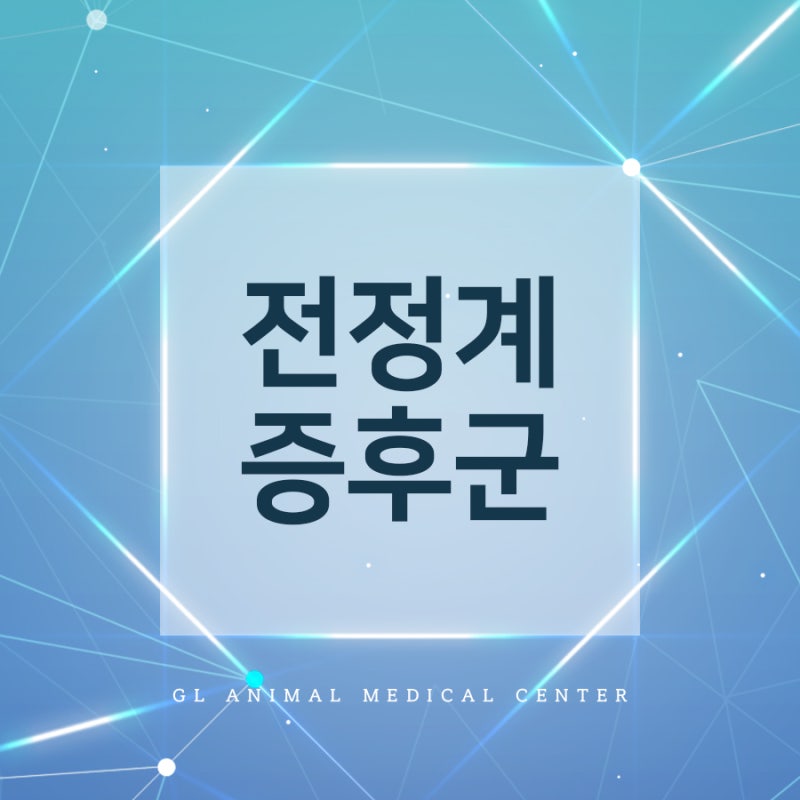 울산 북구 동물병원, 어지러워하며 비틀거리는 강아지, 전정계 증후군 의심해 보세요