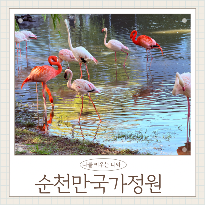순천만국가정원 아이랑 서문 코스｜어린이동물원 스카이큐브 순천만습지까지
