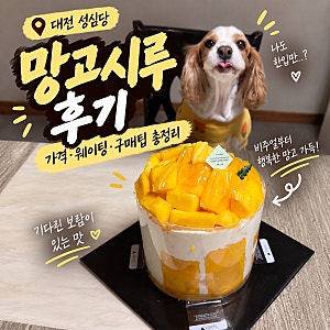드디어 돌아온 대전 성심당 망고시루 구매 후기｜가격·웨이팅·구매팁 총정리