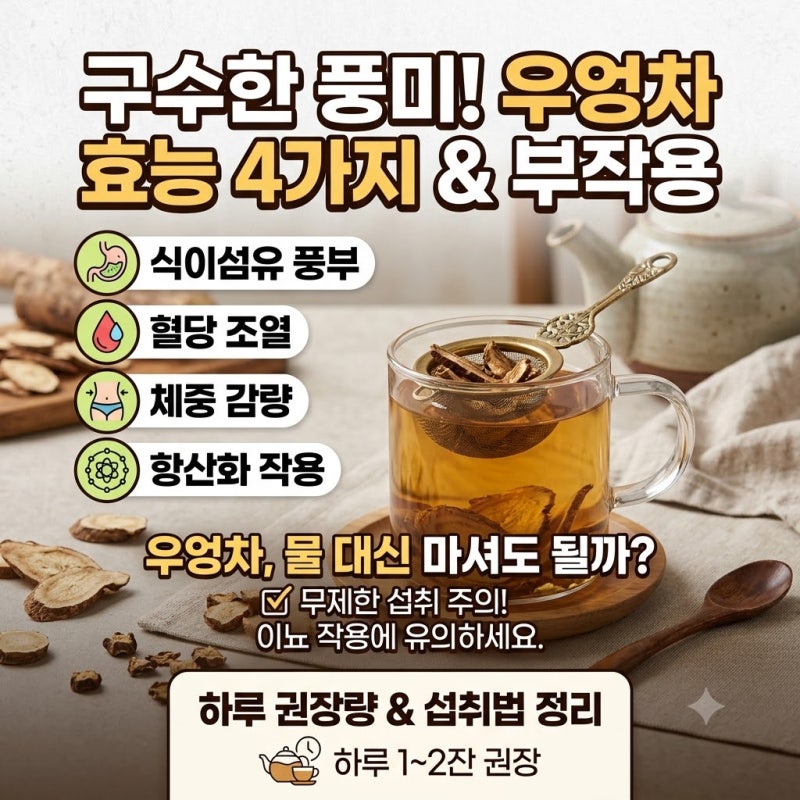 우엉차 효능 4가지와 부작용, 물 대신 마셔도 괜찮을까? 하루 권장량 정리