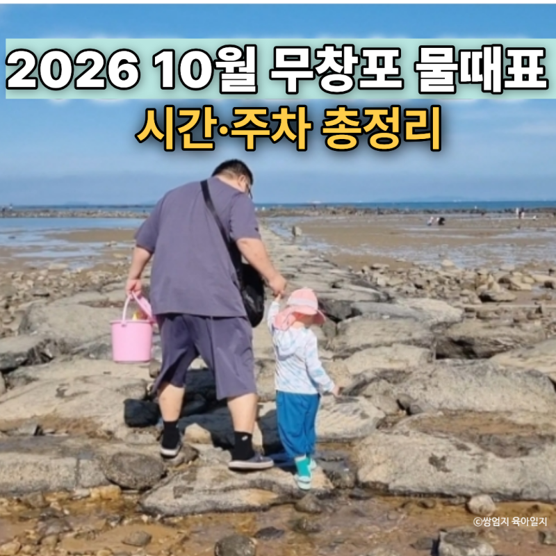 2026 무창포 물때표 10월｜무창포해수욕장 신비의 바닷길 시간·주차 총정리