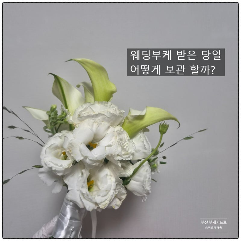 부산 부케말리기, 웨딩부케 받은 당일 보관방법｜피오레라움