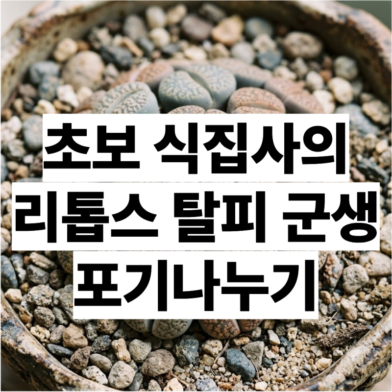 리톱스ㅣ탈피ㅣ군생ㅣ포기나누기ㅣ리톱스 관리법