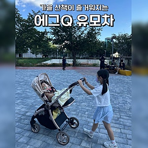 에그Q 절충형 유모차 가을 산책길 주행감 직접 써보니