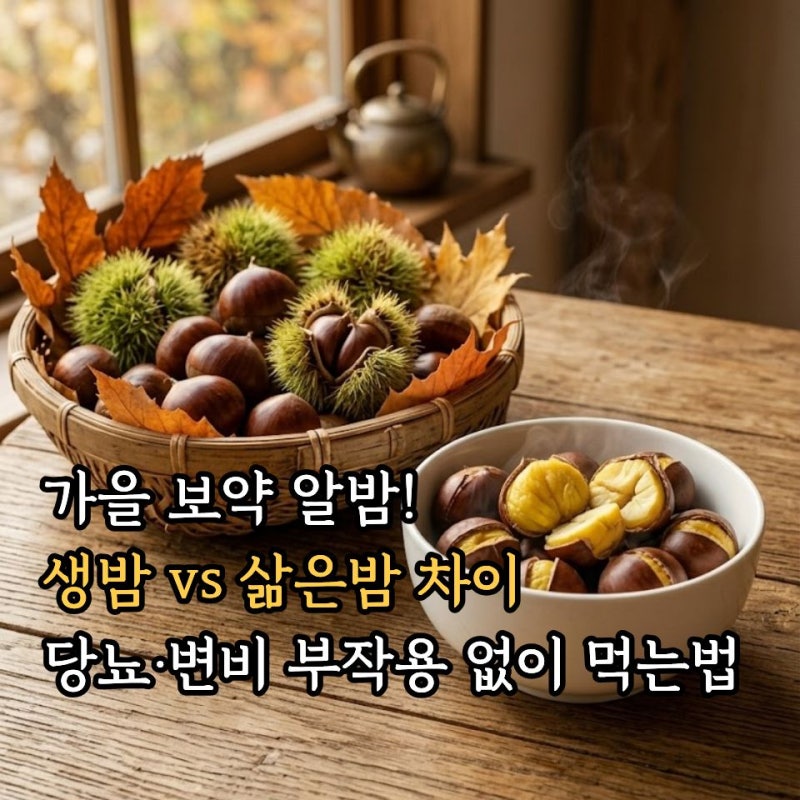 가을 제철 밤 효능 총정리! 생밤과 삶은밤 차이, 당뇨·변비 부작용 없이 먹는법