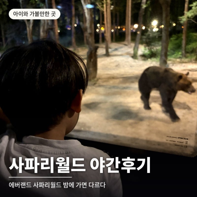 愛寶樂園幼兒園放學後午後券行程：黑暗騎士野生動物園期間、時間、排隊心得