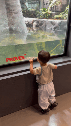 Busan Indoor Kid-Friendly Spot: Yeongdo Proven Reptile Large New Cafe