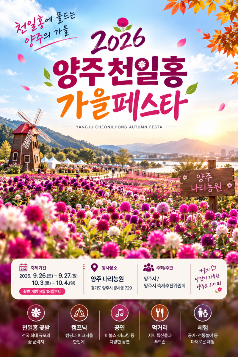 2026 양주 천일홍 가을페스타 총정리｜천만 송이 꽃밭·야경·버블쇼까지 경기도 가을꽃 축제