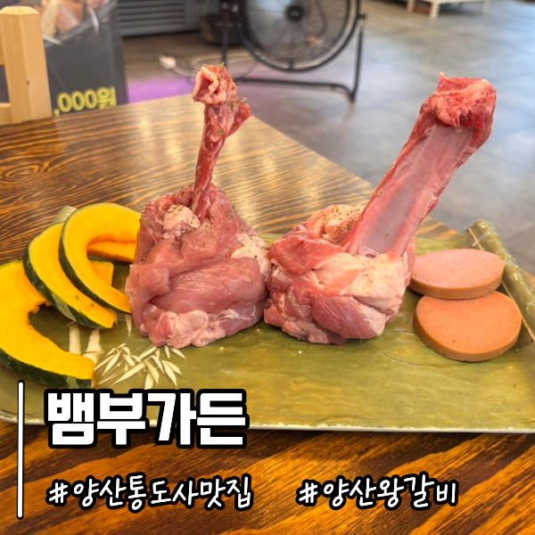 양산 통도사근처 맛집 애견동반가능 프라이빗 방갈로 항아리 돼지왕갈비 뱀부가든